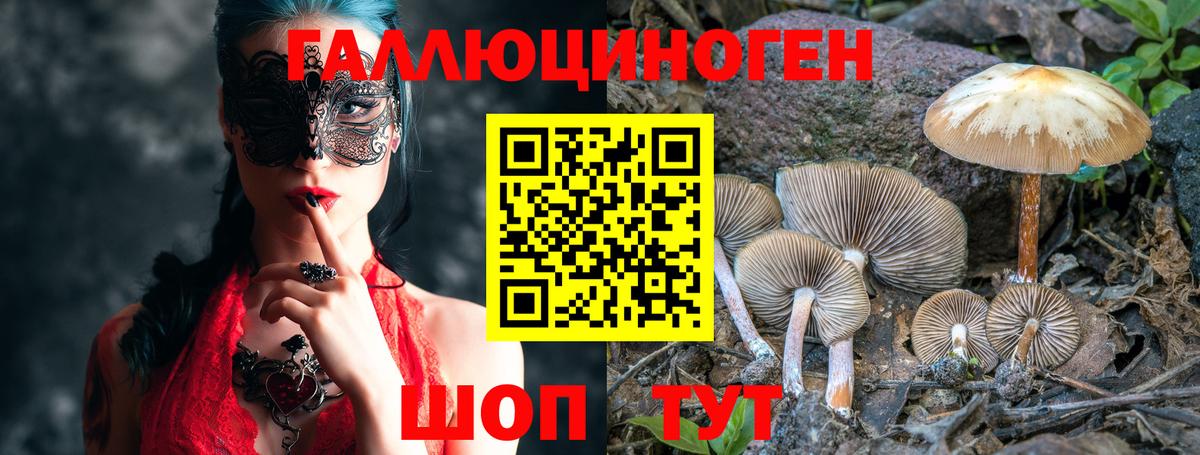 Галлюциногенные грибы мухоморы  Вход с VPN  Балтийск  как найти   Псилоцибиновые грибы Cubensis 