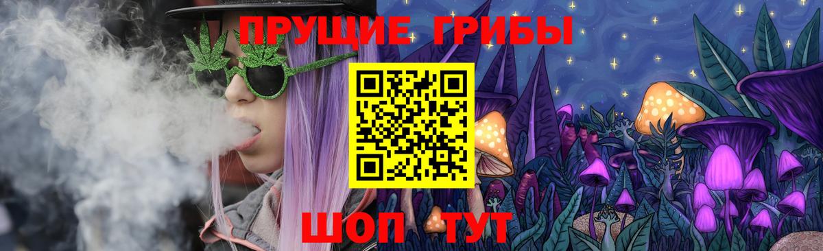 Галлюциногенные грибы GOLDEN TEACHER Балтийск